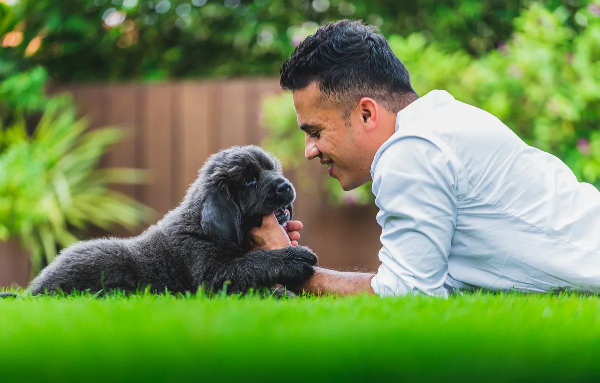 Dog enjoying personalized care