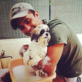 Dog being shampooed and conditioned